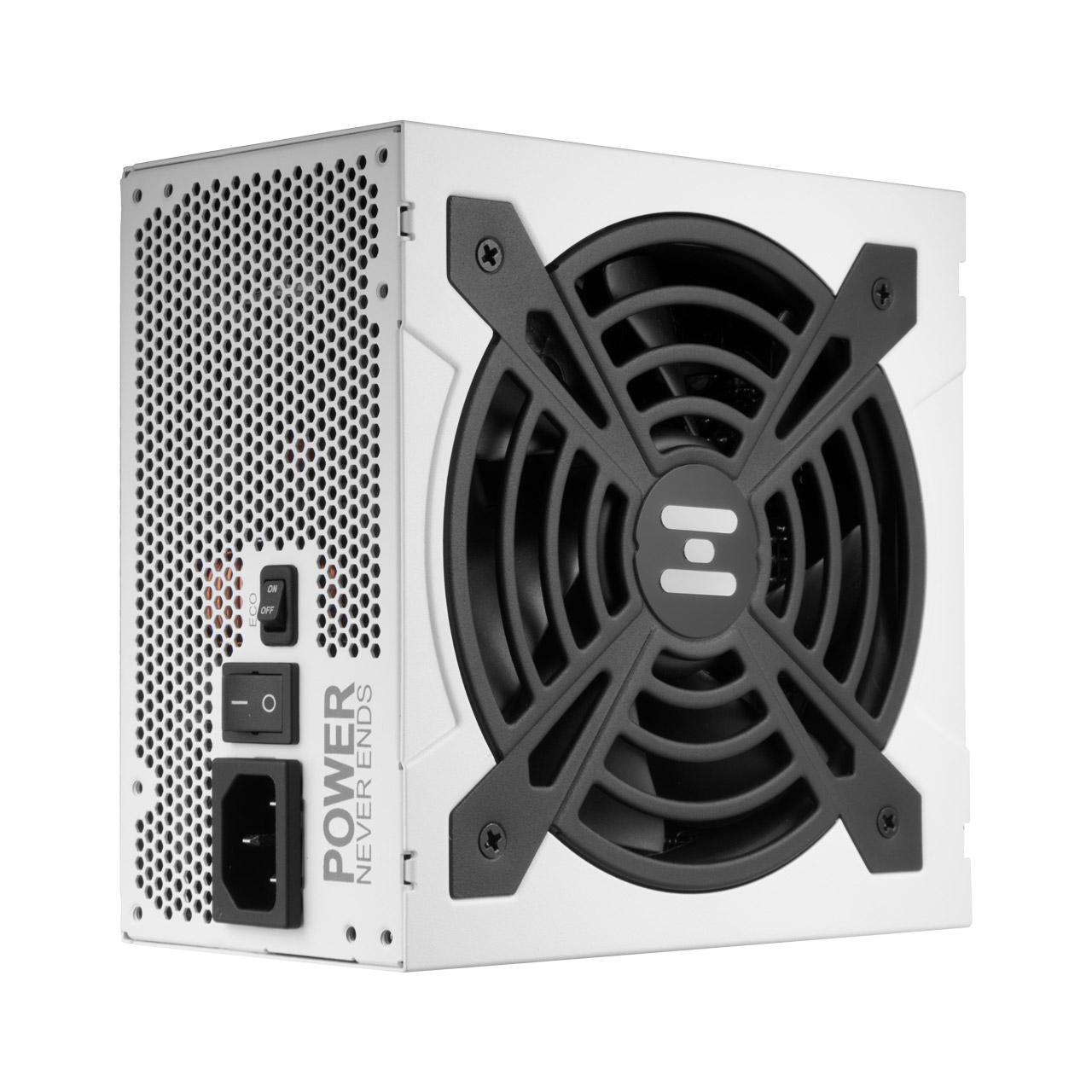 FSP HYDRO G PRO 3.0 GEN5 1000W GOLD WHITE