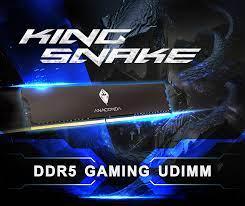 ANACOMDA KINGSNAKE 32GB(16G*2) DDR5 6400MHZ