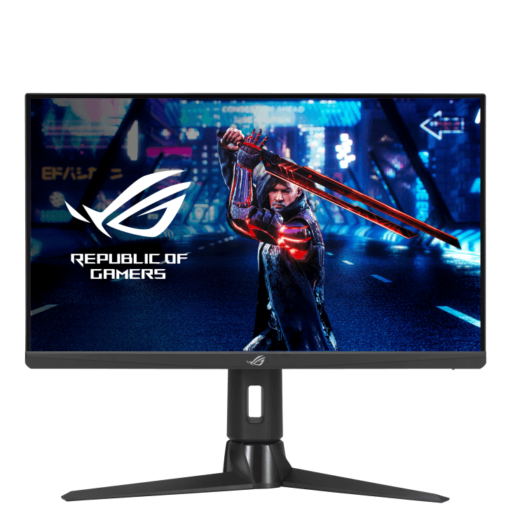 XG259QN 24.5" FastIPS 380Hz Gaming Monitor