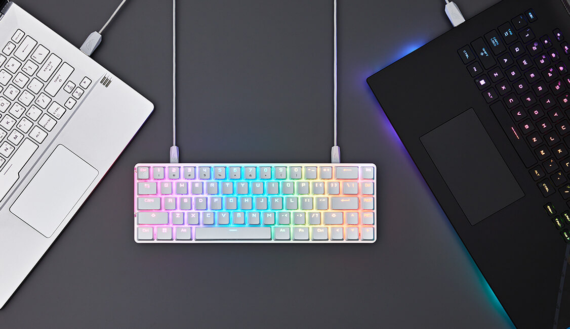 M602 FALCHION ACE NXBN WHITE US 茶軸