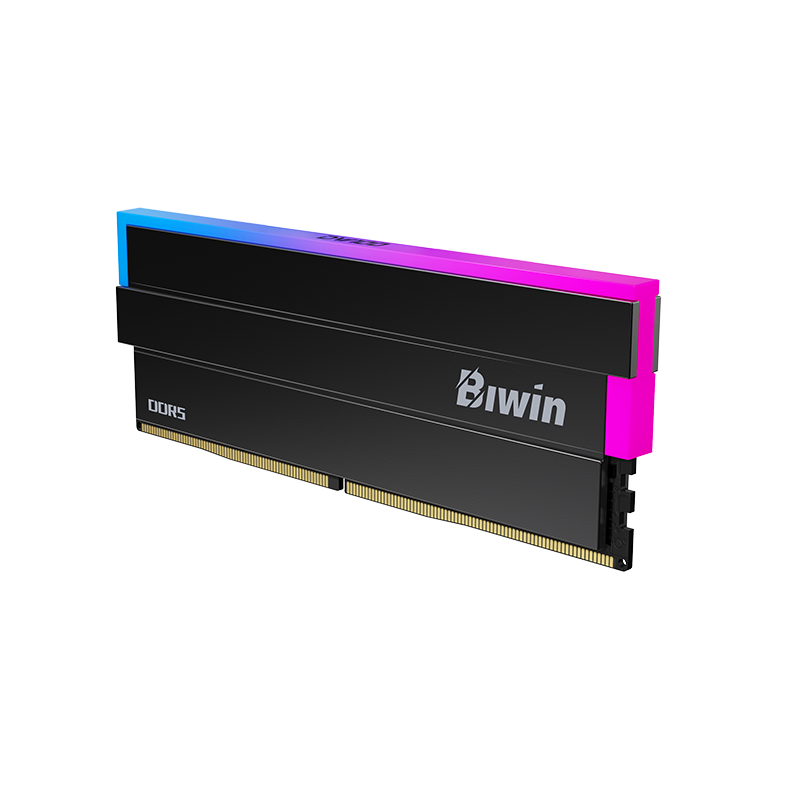 DW100 32G(16G*2) DDR5 6000MHZ BLACK