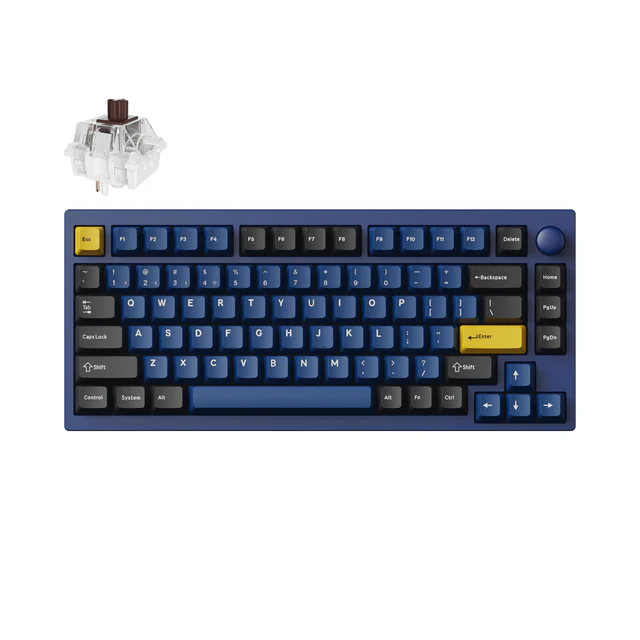 P1 PRO NAVY BLUE BROWN SWITCH RGB