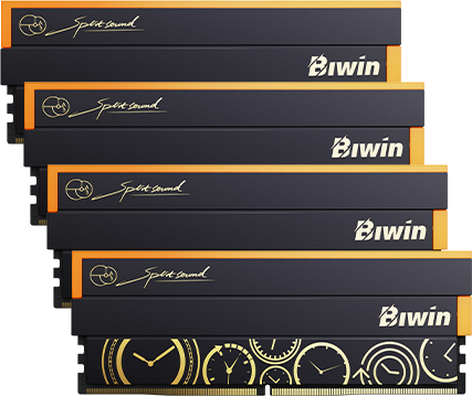 Black Opal OC Lab Gold EditionDW100 RGB DDR5 192Gb