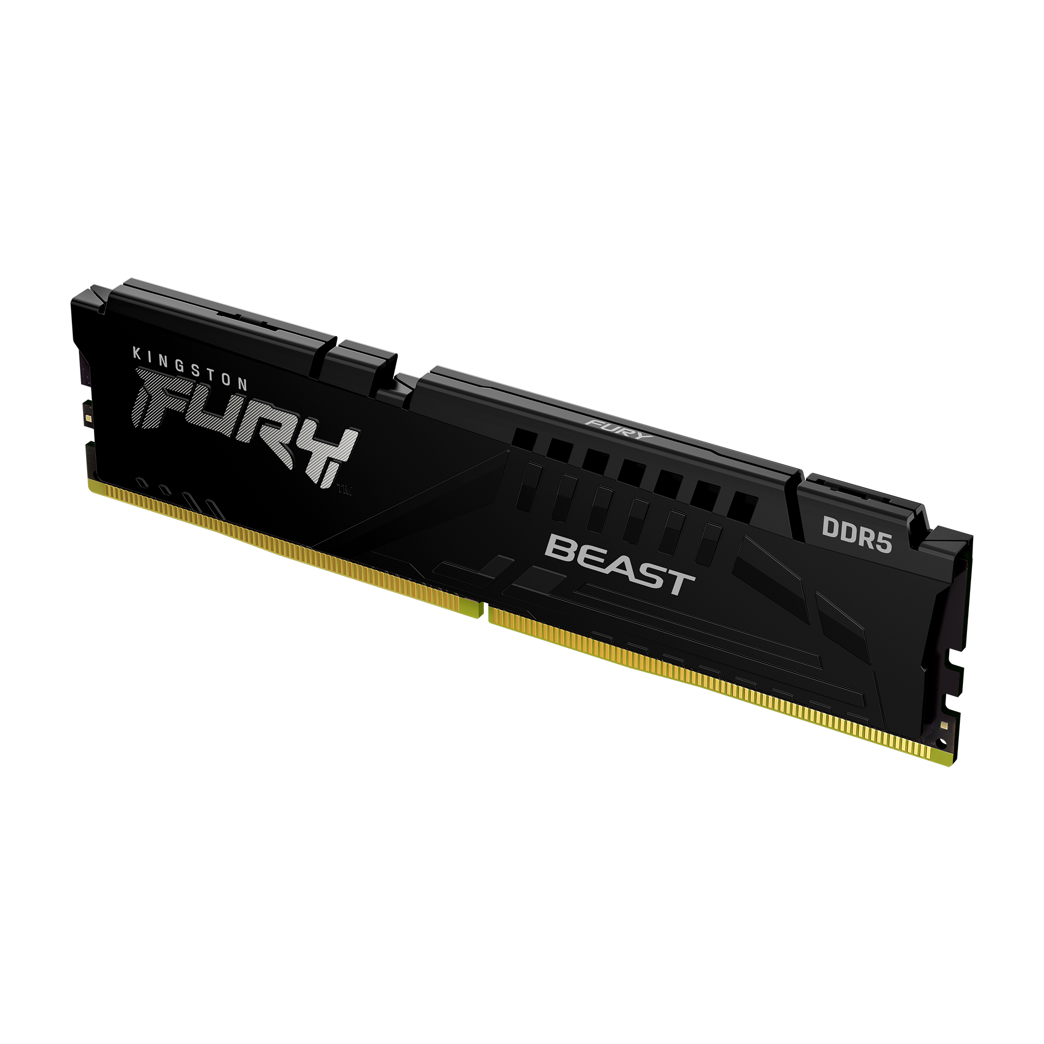 FURY Beast 64GB KIT (32GB*2) DDR5 6000MHz CL36