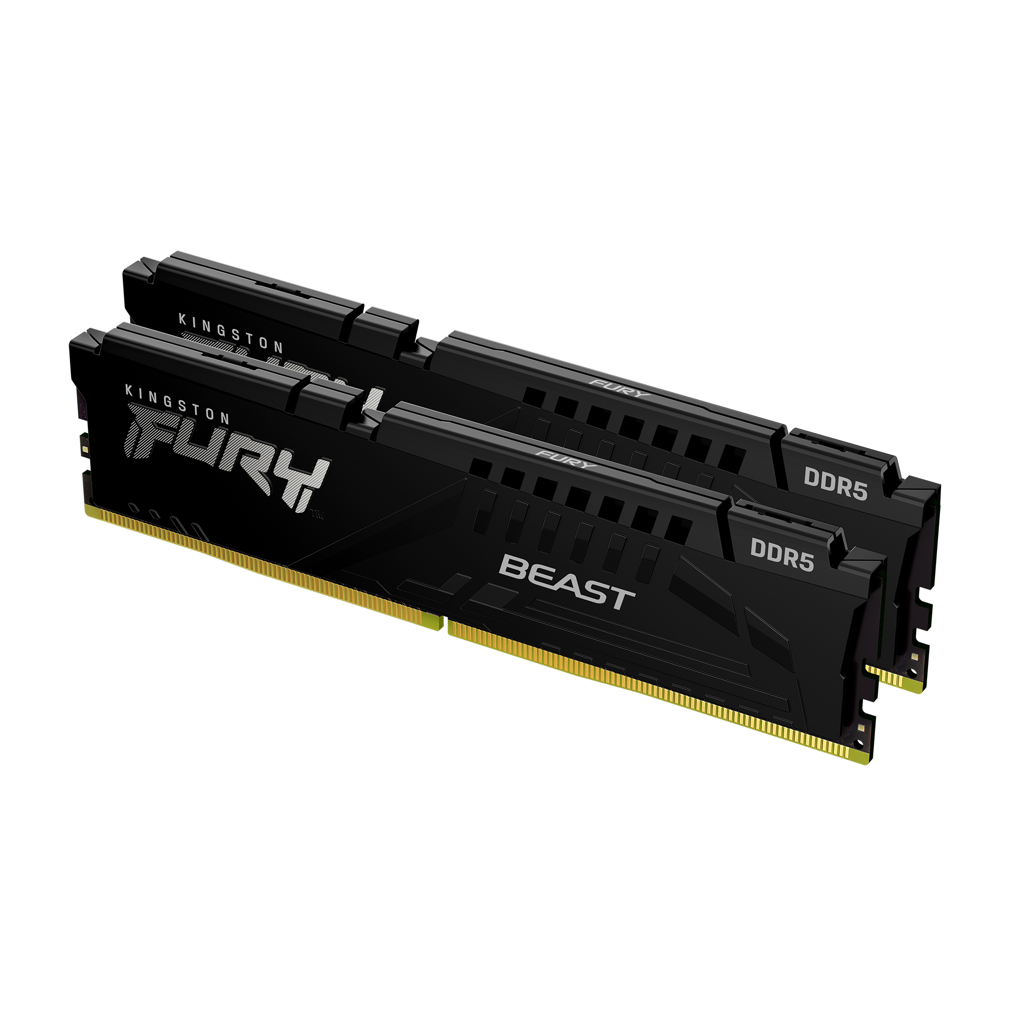 FURY BEAST 64G(32G*2) DDR5 5600MT/S BLACK thumbnail 2